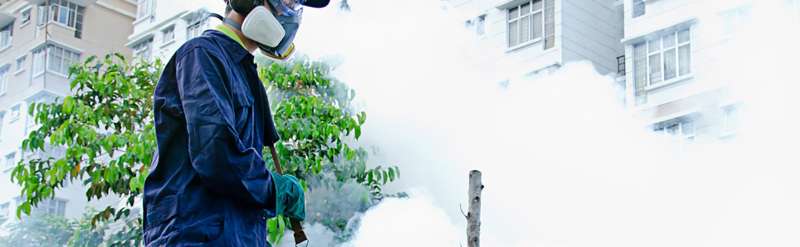Commercial Pest Management